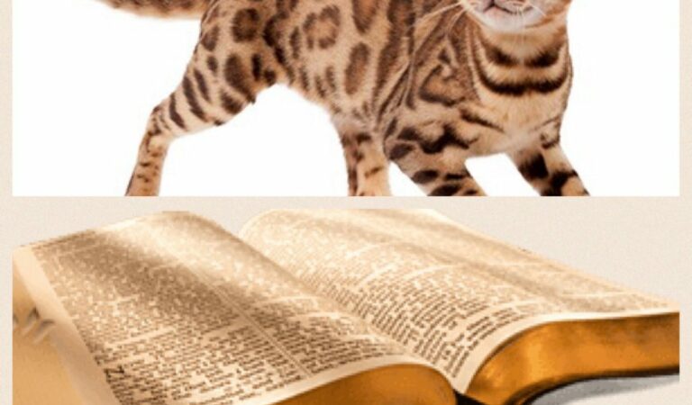 Cat is the only domestic animal,which is not mentioned in the Bible